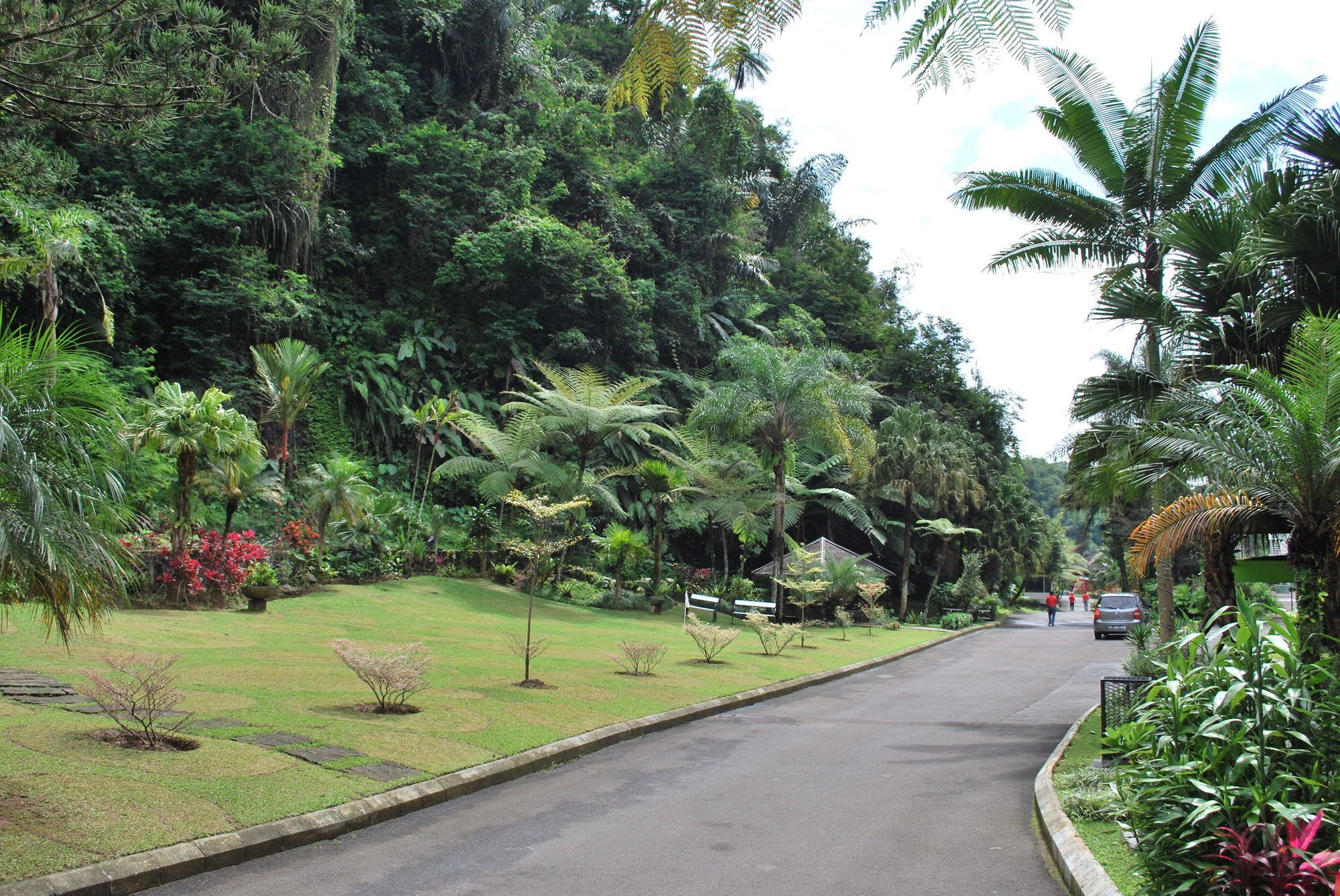 Zuri Resort Cipanas Puncak Eksteriør billede